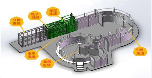 基于物联网的畜禽智能养殖监控系统与智能水务系统开发