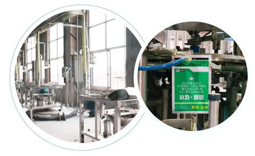 智能驱动，水务革新 重庆树荣长寿区无人化新工厂正式投产